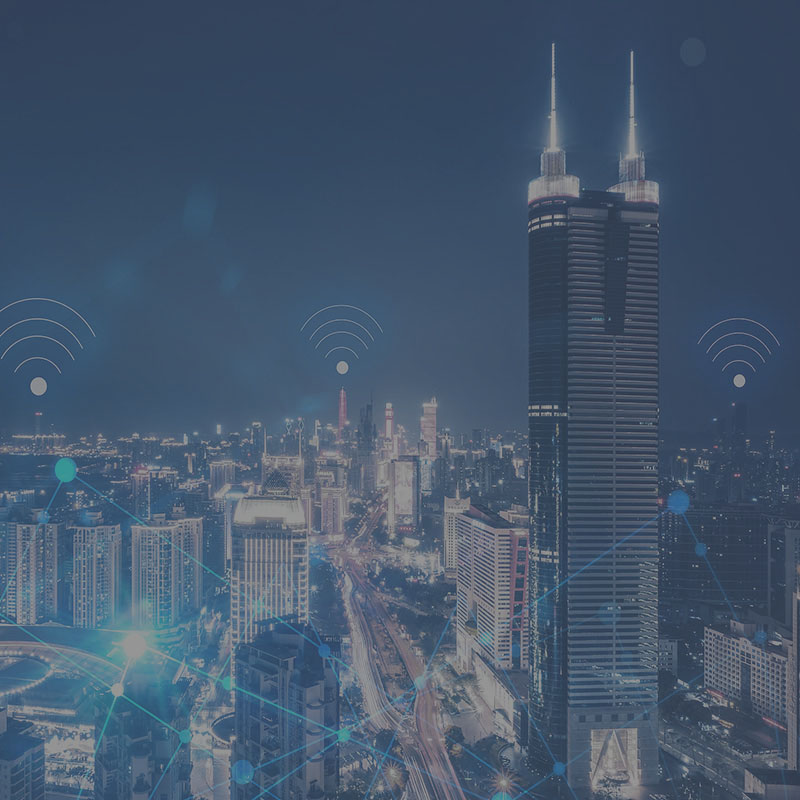 long-term companionship